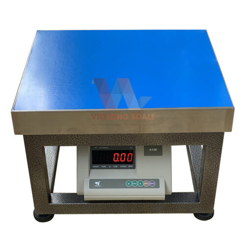 Cân ghế điện tử A12