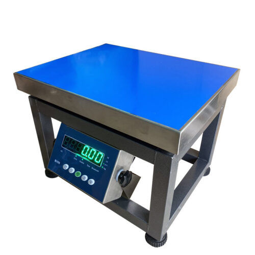 Cân ghế điện tử 100kg B19S