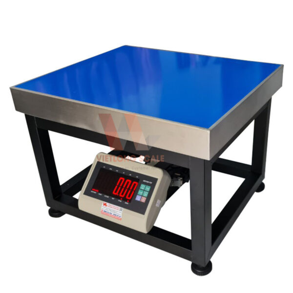 Cân ghế điện tử T7E 500kg