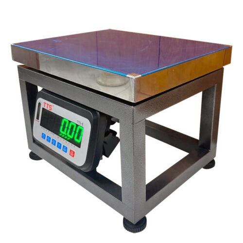 Cân ghế điện tử 100kg TTS-E